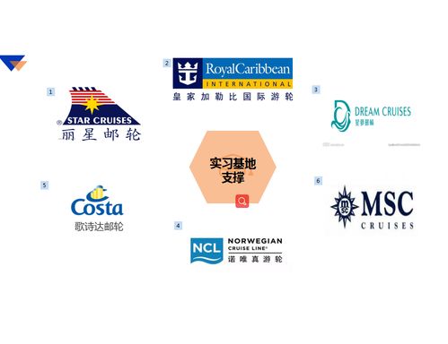 探索涉外職業(yè)教育新路徑》，旅游外語(yǔ)學(xué)院躋身河南省“郵輪登務(wù)才能等級(jí)培訓(xùn)認(rèn)證新方